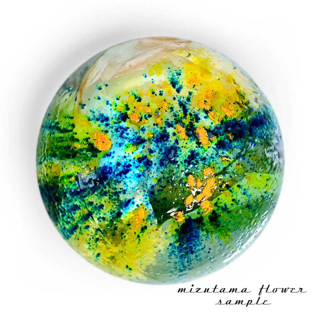 まり藻と花 ながいファン倶楽部 | 清流に咲く小さな花「梅花藻（バイカモ）」 長井